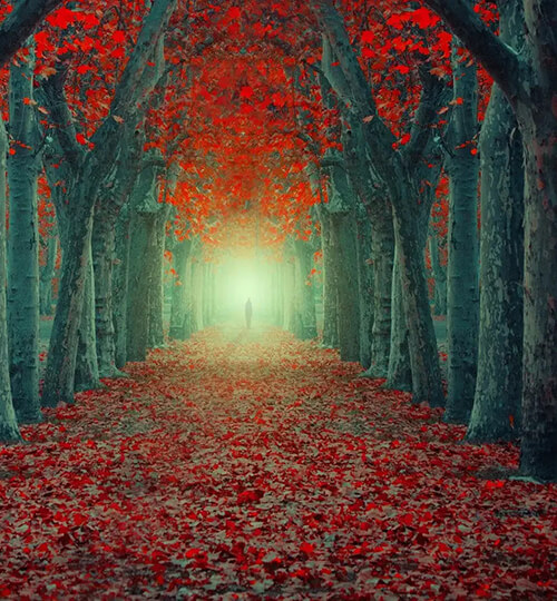 veltiwsi-poiothtas-zwhs1