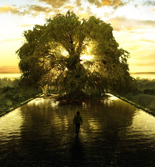 veltiwsi-poiothtas-zwhs2